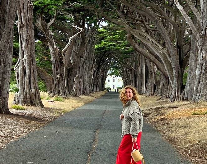 Point Reyes Coastal Redwoods Journey