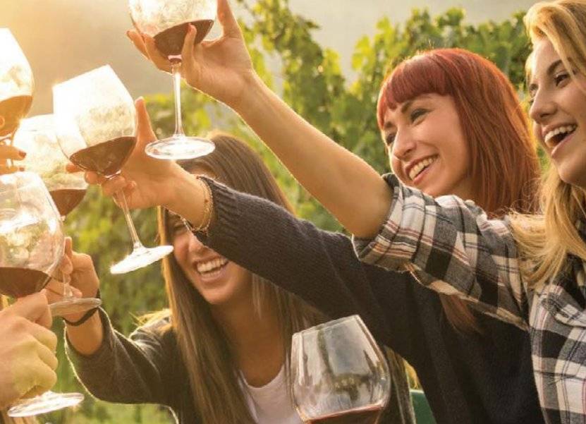 Sonoma Wine Country Escape